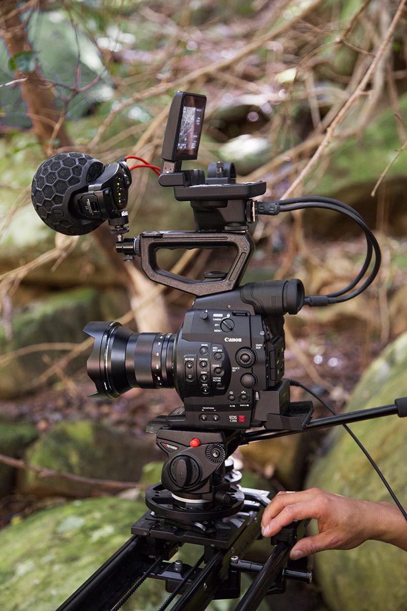 RØDE Microphones - Stereo VideoMic X